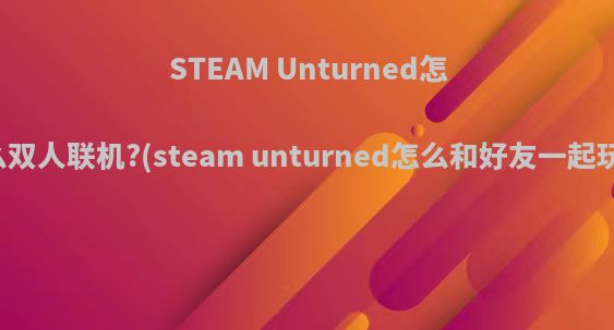 STEAM Unturned怎么双人联机?(steam unturned怎么和好友一起玩)
