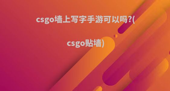 csgo墙上写字手游可以吗?(csgo贴墙)