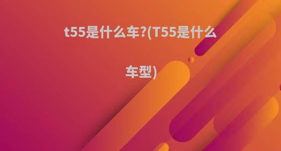 t55是什么车?(T55是什么车型)