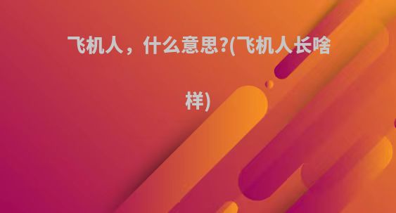 飞机人，什么意思?(飞机人长啥样)