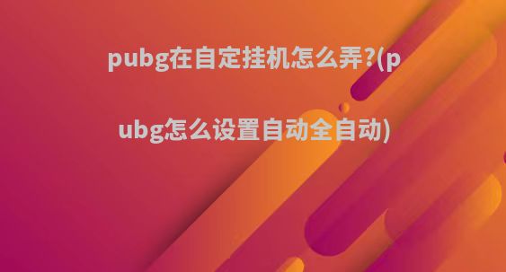 pubg在自定挂机怎么弄?(pubg怎么设置自动全自动)