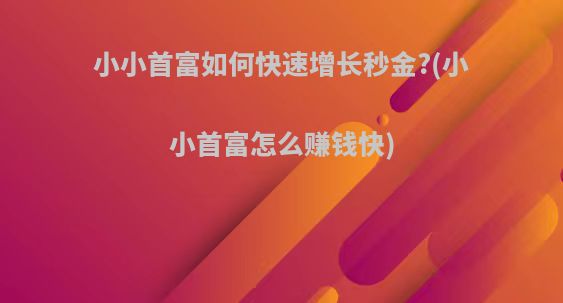 小小首富如何快速增长秒金?(小小首富怎么赚钱快)