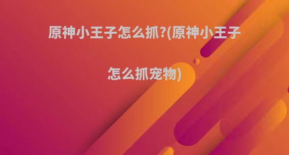 原神小王子怎么抓?(原神小王子怎么抓宠物)