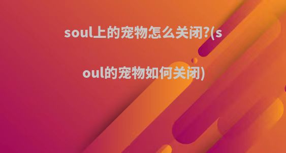 soul上的宠物怎么关闭?(soul的宠物如何关闭)