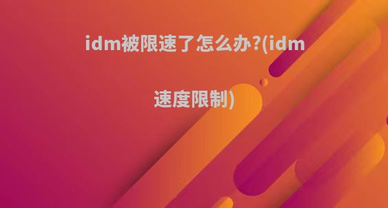 idm被限速了怎么办?(idm速度限制)