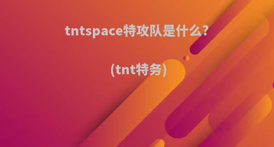 tntspace特攻队是什么?(tnt特务)