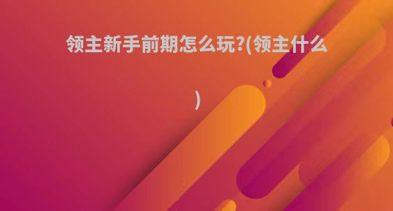 领主新手前期怎么玩?(领主什么)