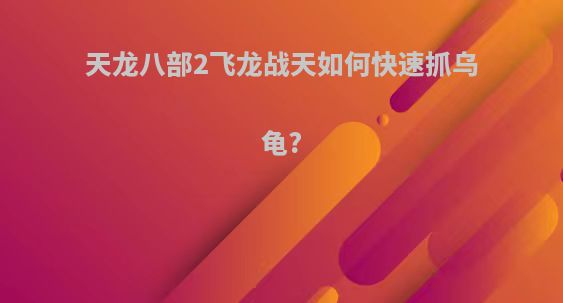 天龙八部2飞龙战天如何快速抓乌龟?