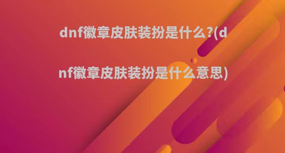dnf徽章皮肤装扮是什么?(dnf徽章皮肤装扮是什么意思)