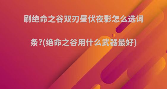 刷绝命之谷双刃昼伏夜影怎么选词条?(绝命之谷用什么武器最好)