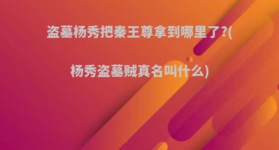 盗墓杨秀把秦王尊拿到哪里了?(杨秀盗墓贼真名叫什么)