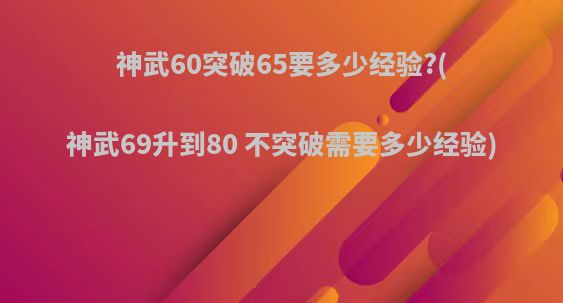 神武60突破65要多少经验?(神武69升到80 不突破需要多少经验)