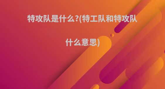 特攻队是什么?(特工队和特攻队什么意思)