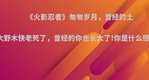 《火影忍者》匆匆岁月，曾经的土影大野木快老死了，曾经的你也长大了!你是什么感觉?