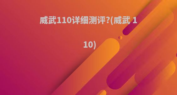 威武110详细测评?(威武 110)