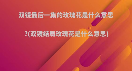 双镜最后一集的玫瑰花是什么意思?(双镜结局玫瑰花是什么意思)